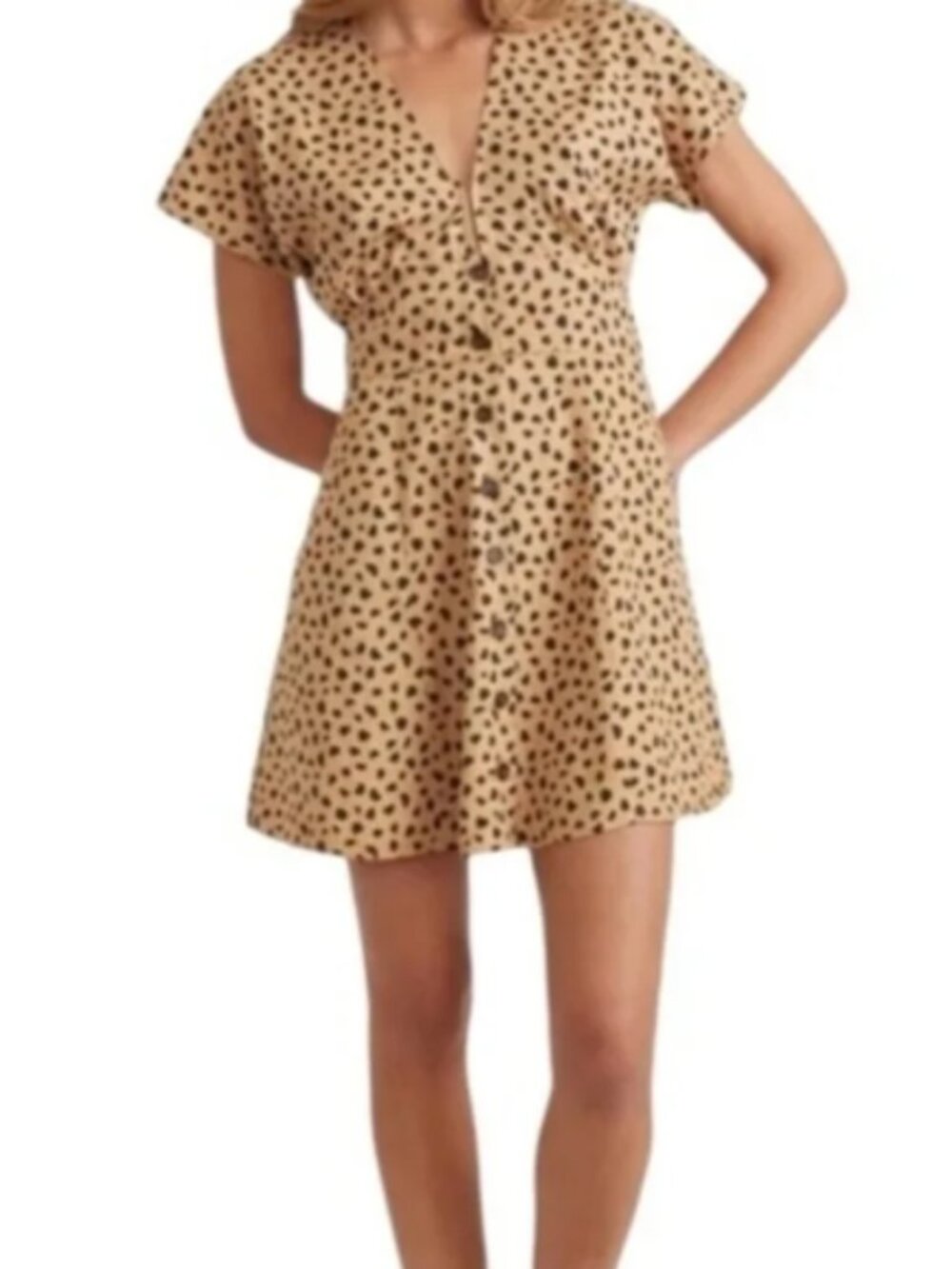 Marine Layer Camilla Cheetah Print Dress